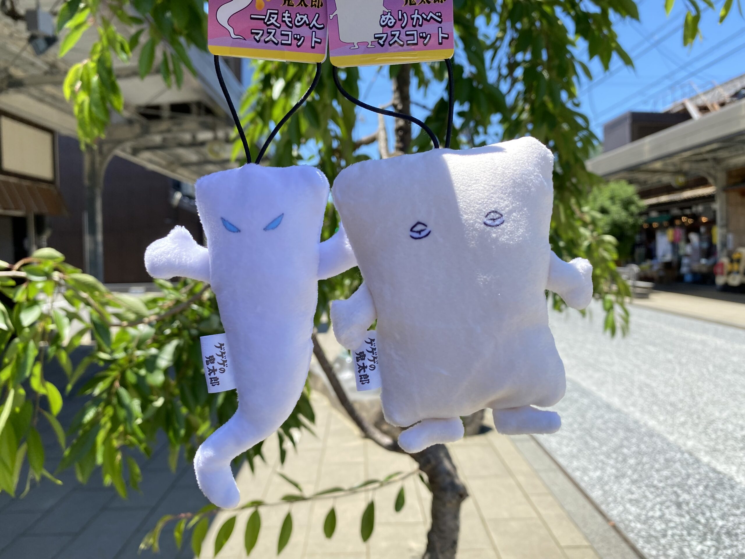 サムネイル画像