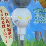 item325